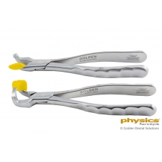 Physics Forceps Series - Molar Series