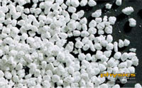 Synthetic Beta-Tricalcium Phosphate - GoldOss™ ß-TCP Synthetic Bone Particles 0.5cc