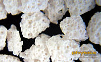 Synthetic Beta-Tricalcium Phosphate - GoldOss™ ß-TCP Synthetic Bone Particles 0.5cc   Package of 5 - $49.80/pack