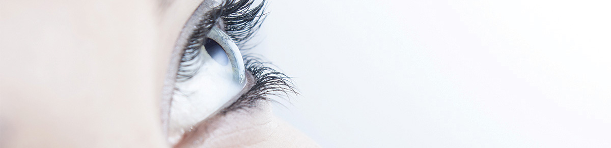 <?php echo $pk;?>  - An Eye
