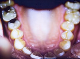 Article Image 04