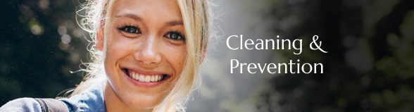 Cleaning And Prevention Banner