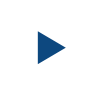 Play Icon