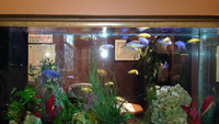 Dental in Austin - Office Picture 3