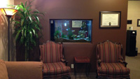 Dental in Austin - Office Picture 6