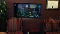 Dental in Austin - Office Picture 7