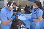 Helping Out in Haiti 3