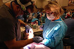 Dental Access Days In Rock Hill 4