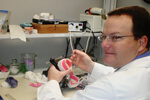 Doctr in the Lab