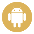 Anroid Icon