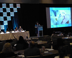 Lecturing at Cosmetic Surgery Forum in Las Vegas 4