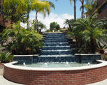 Seaside Rheumatology and Wellness Center