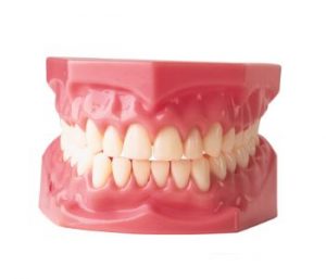 Beautiful and affordable quality dentures in West Palm Beach, FL