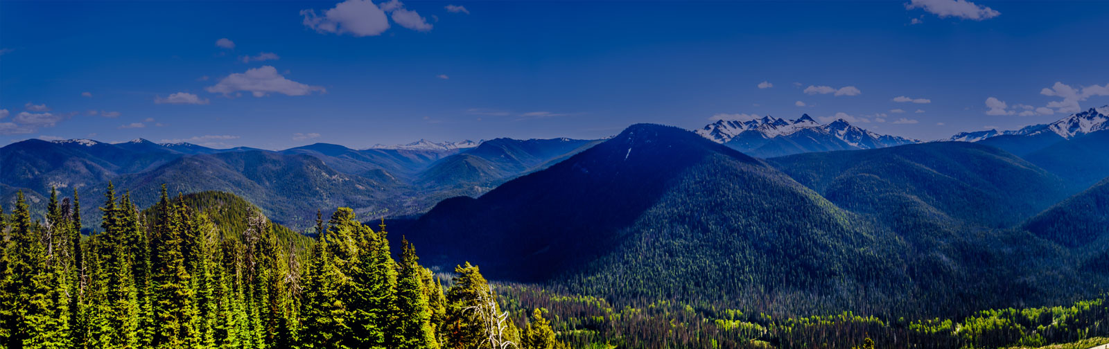 header banner