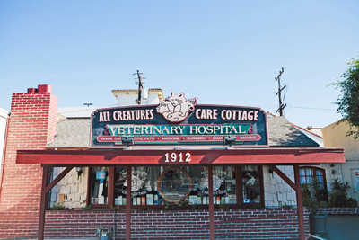 All Creatures Care Cottage Veterinary Hospital
