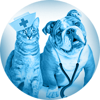 Diagnostics