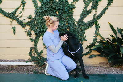 Pet Resources, Costa Mesa