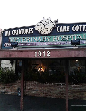 All Creatures Care Cottage Veterinary Hospital