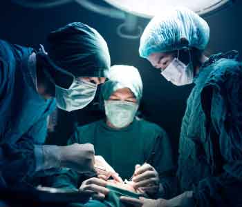 pet owners with an animal surgeon they can trust