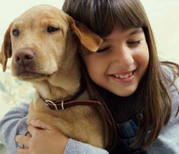 Dog boarding available at Costa Mesa