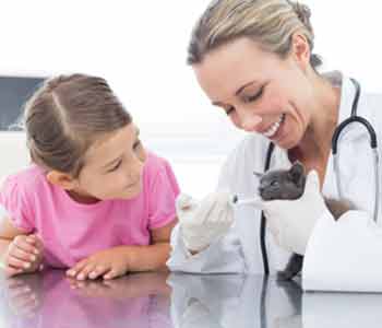 importance of pet vaccinations Dr. Rand Spongberg, BSc, BVMS