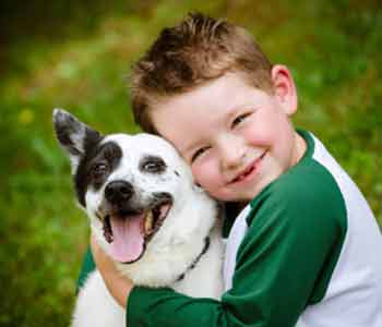 Dr. Rand Spongberg provides pet vaccinations for Irvine area dogs and cats