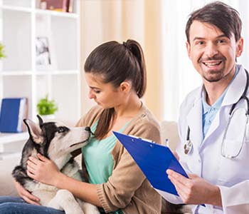 Affordable Vet Care Huntington Beach CA