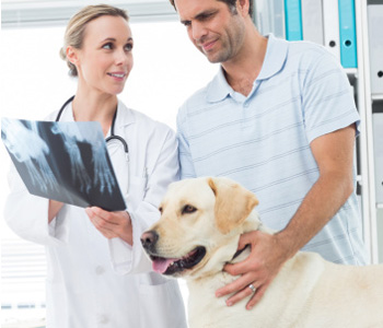 Hospital for Animals