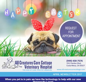 April 2017 Newsletter