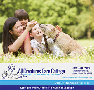 August 2016 Newsletter