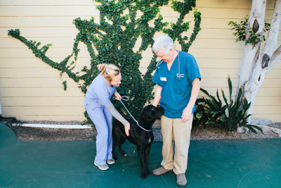 End-of-Life Care