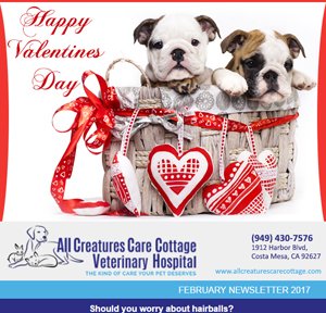 February 2017 Newsletter