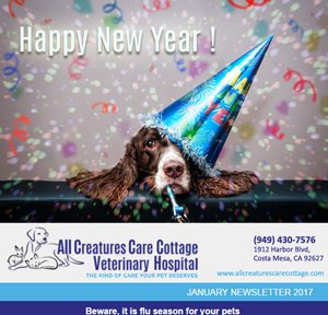 January 2017 Newsletter