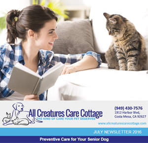July 2016 Newsletter