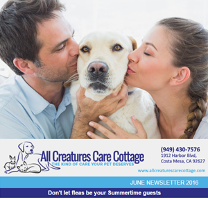 June Newsletter 2016