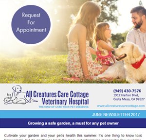 June 2017 Newsletter