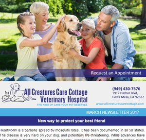 March 2017 Newsletter