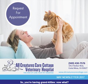 May 2017 Newsletter