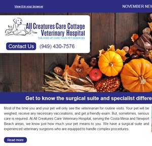 November 2017 Newsletter