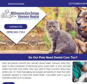 September 2017 Newsletter