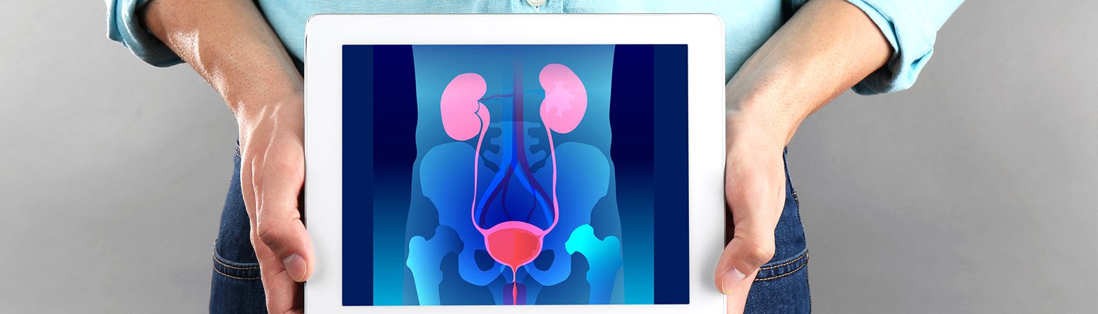 Kidney Disease, FL