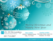 Newsletter - December 2013