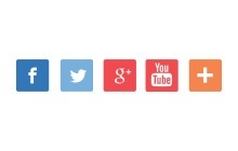 <?php echo $pk;?> - Social Media Icons