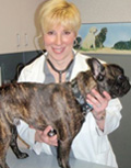 Best Vet Houston - Dr. Lori M. Teller