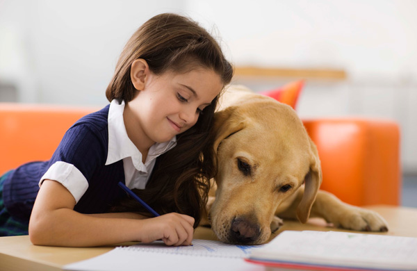 Girl with dog and homework