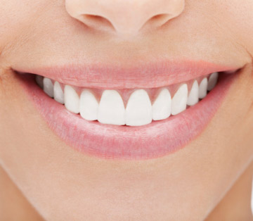 Perfect Set of Teeth